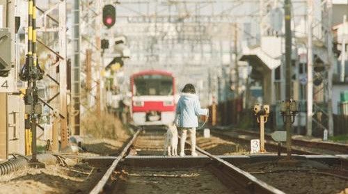 sayaka treno.jpg sayaka treno.jpg